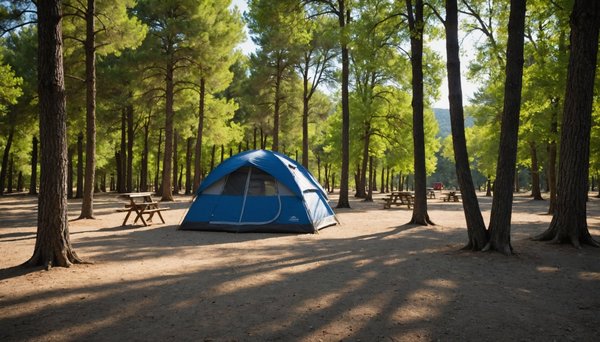 Découvrez les campings campasun pour un séjour serein en vaucluse