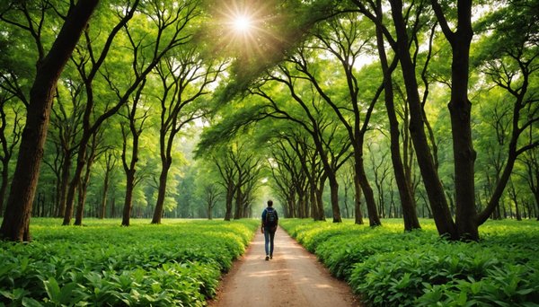 Pourquoi le gard est une destination idéale pour des vacances nature ?